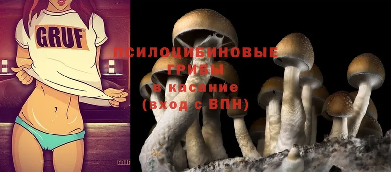 Псилоцибиновые грибы Magic Shrooms  KRAKEN рабочий сайт  Ак-Довурак 